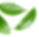 Primary decorative shape in contact page breadcrumb