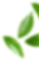 Secondary decorative shape in contact page breadcrumb